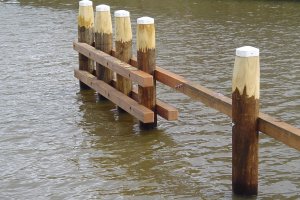 Duurzame inkoop hout mist kennis en prioriteit